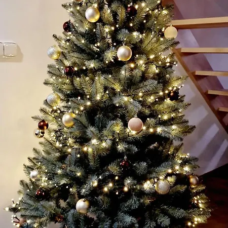 Дом отдыха Rubinka *